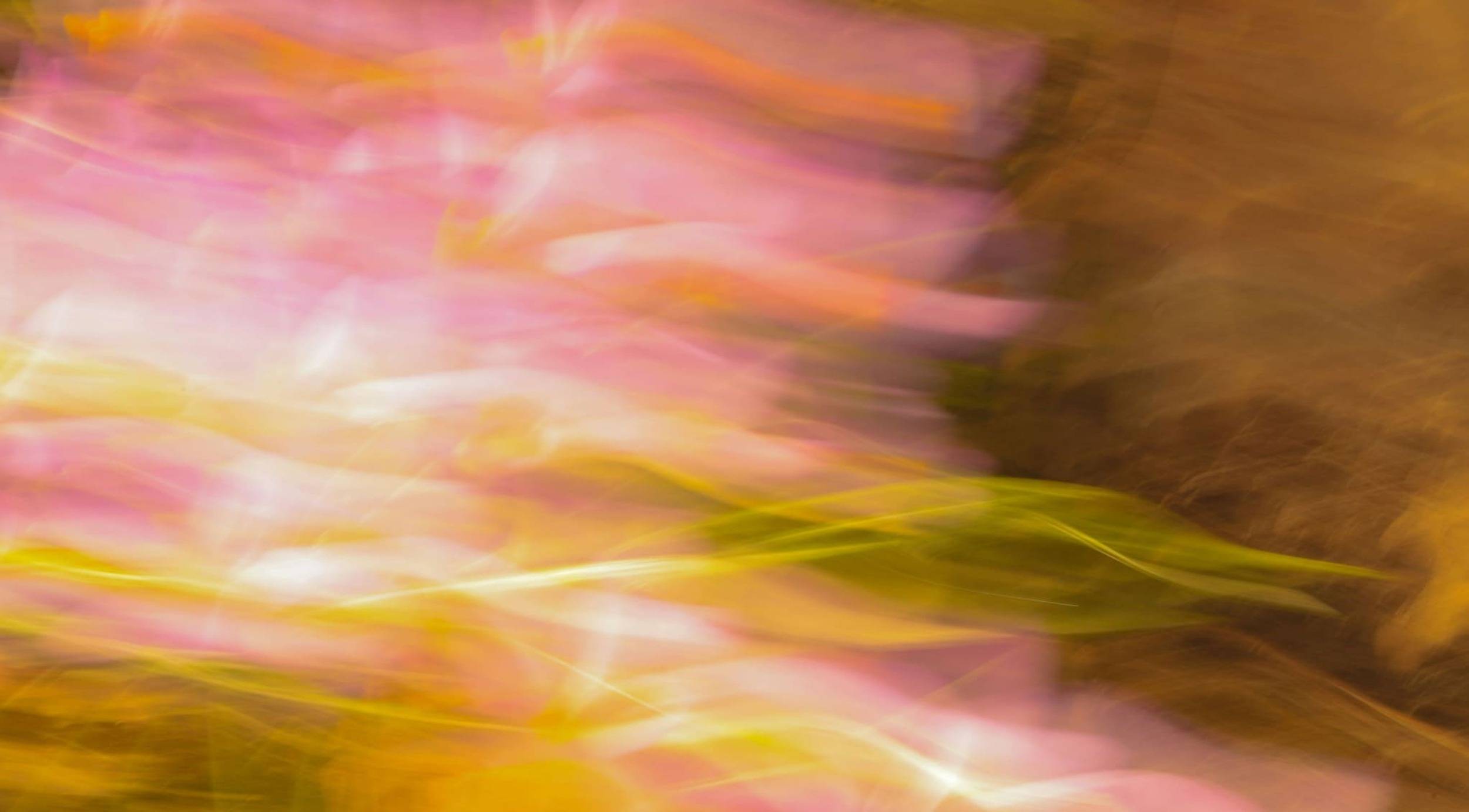 Blurred swirls of pink, yellow, green, and brown tones