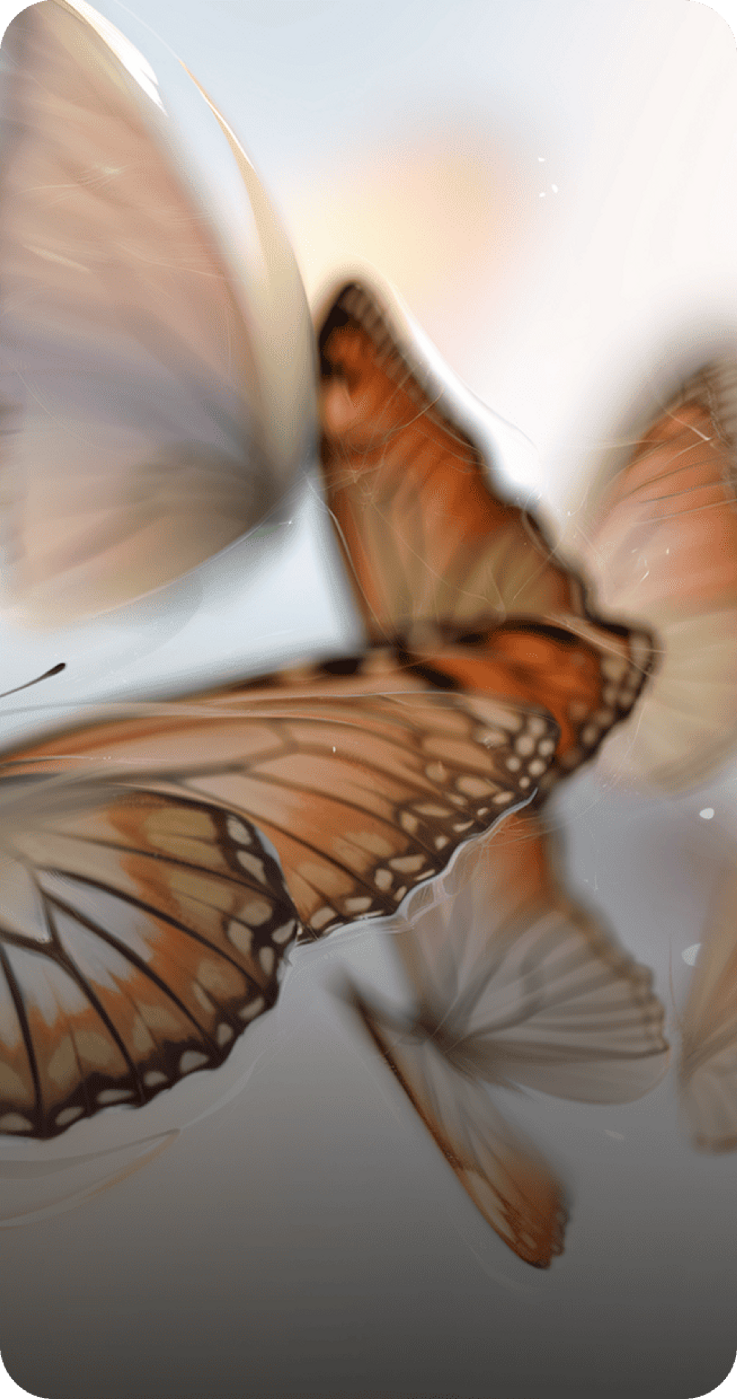Butterflies on a blurred light background