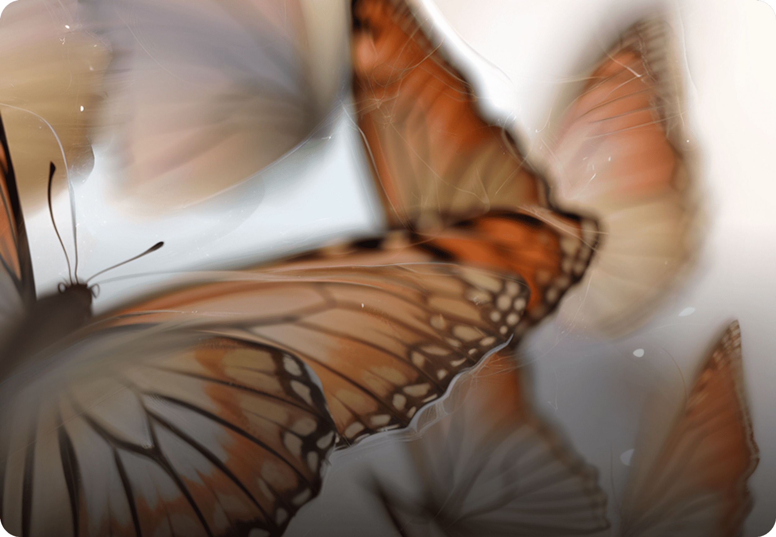 Butterflies on a blurred light background