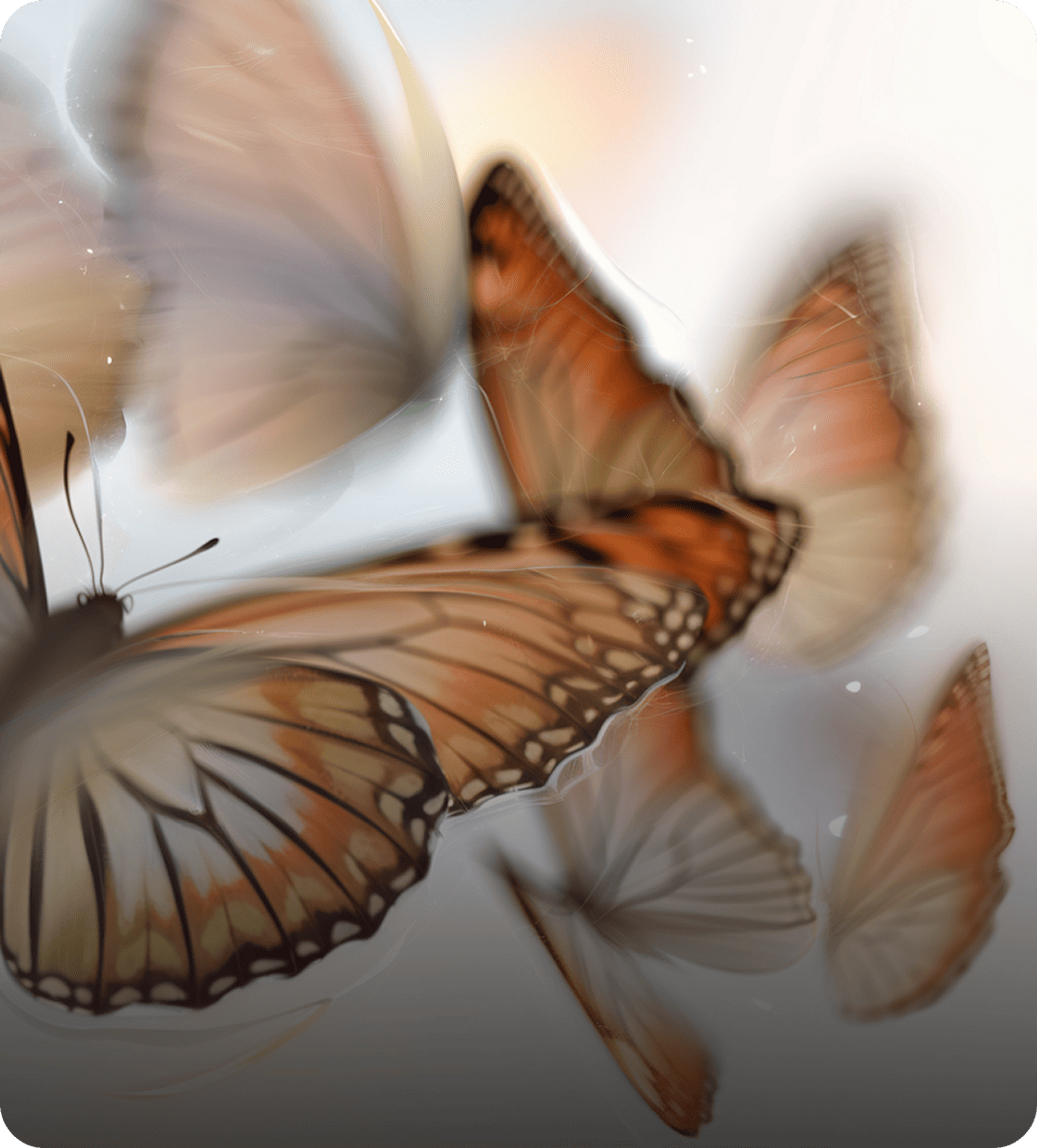 Butterflies on a blurred light background